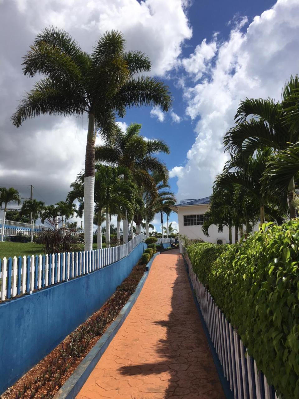Tropics View Jamaica Hotel Hatfield Exterior photo
